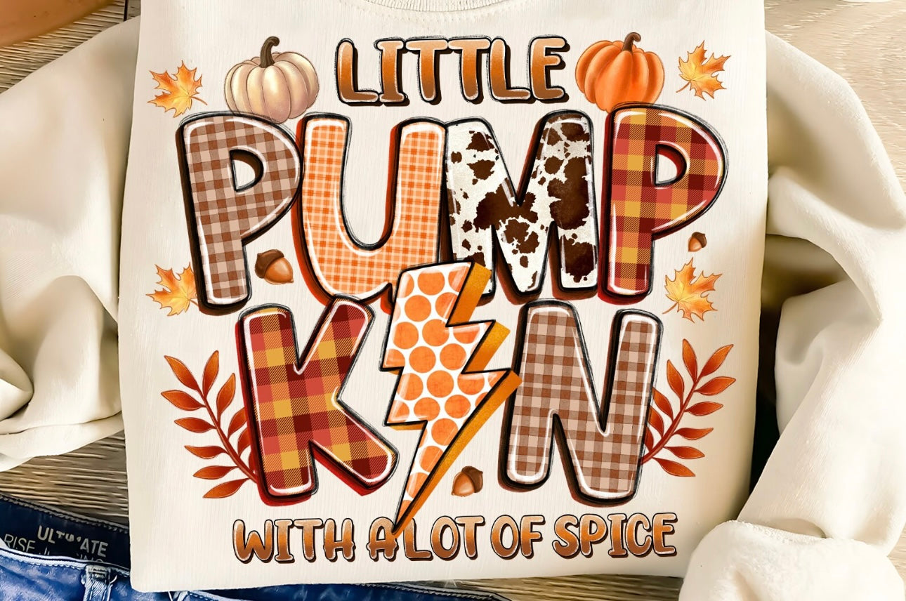 Little Pumpkin With A Lot Of Spice
